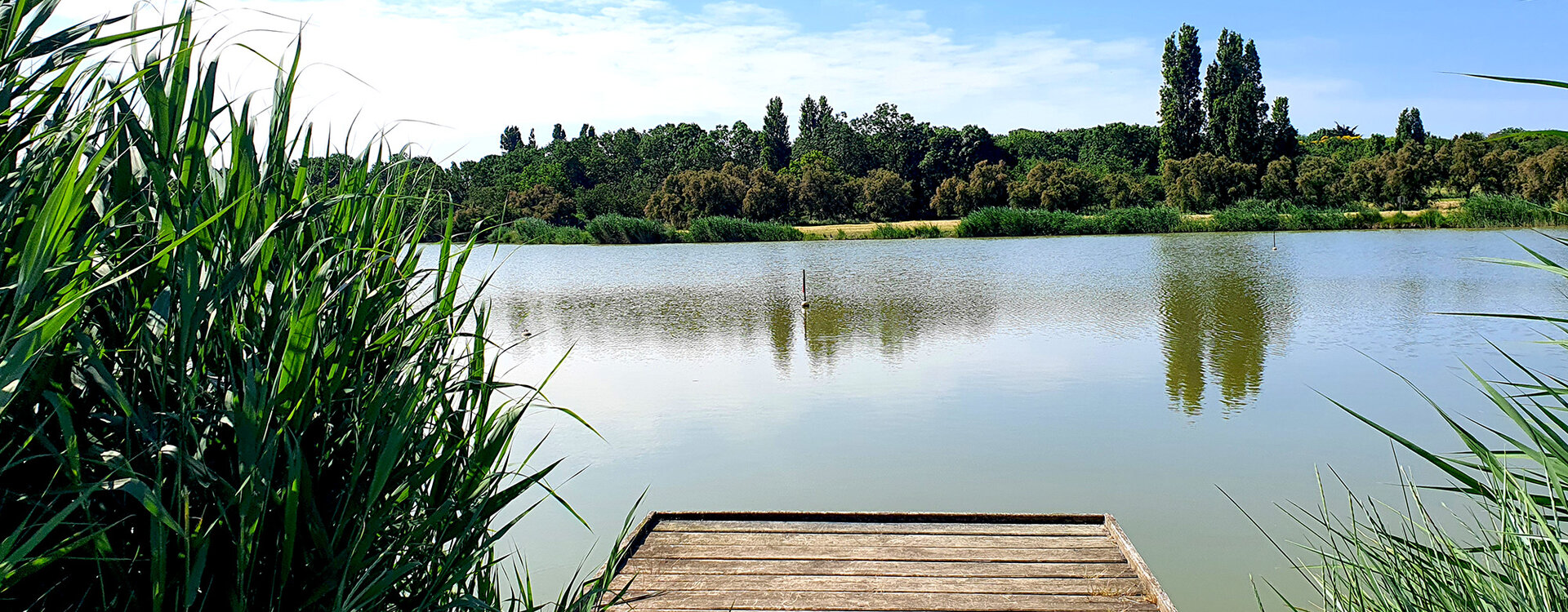 La pêche