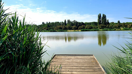 Pêche en eau douce